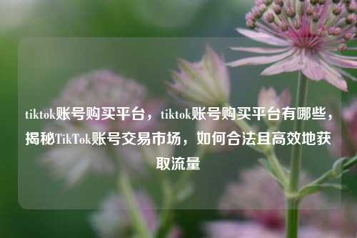 tiktok账号购买平台，tiktok账号购买平台有哪些，揭秘TikTok账号交易市场，如何合法且高效地获取流量