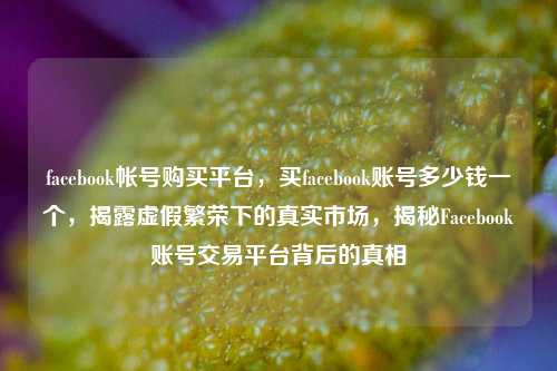 facebook帐号购买平台，买facebook账号多少钱一个，揭露虚假繁荣下的真实市场，揭秘Facebook账号交易平台背后的真相