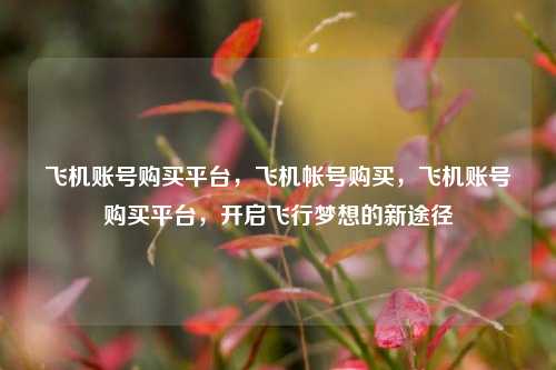 飞机账号购买平台，飞机帐号购买，飞机账号购买平台，开启飞行梦想的新途径