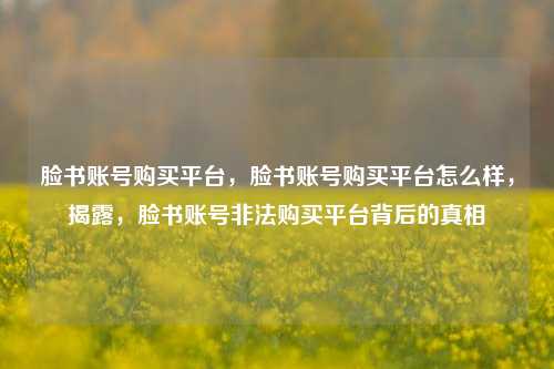 脸书账号购买平台，脸书账号购买平台怎么样，揭露，脸书账号非法购买平台背后的真相