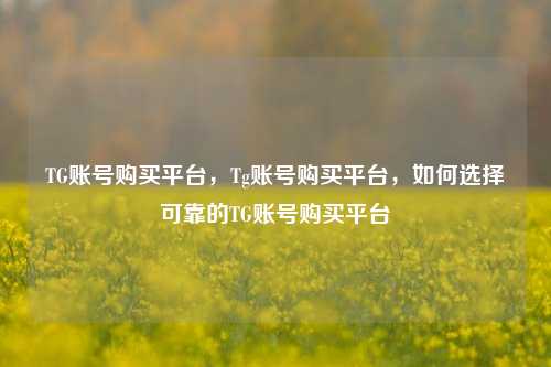 TG账号购买平台，Tg账号购买平台，如何选择可靠的TG账号购买平台