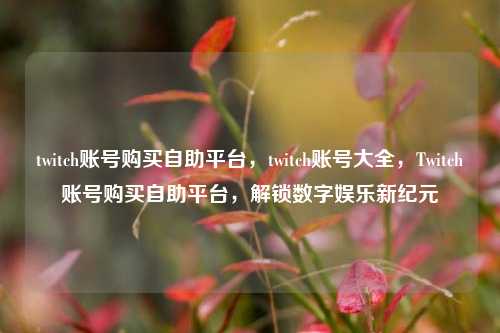 twitch账号购买自助平台，twitch账号大全，Twitch账号购买自助平台，解锁数字娱乐新纪元