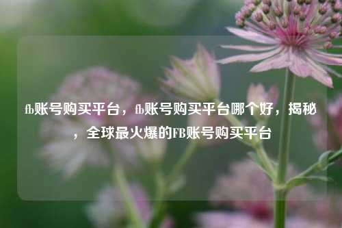 fb账号购买平台，fb账号购买平台哪个好，揭秘，全球最火爆的FB账号购买平台