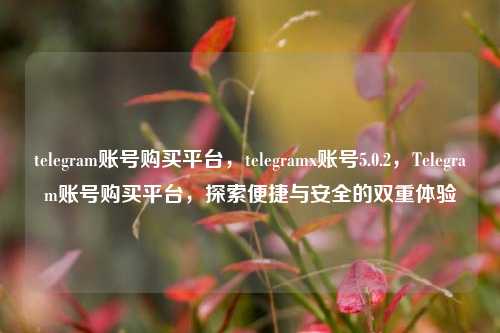 telegram账号购买平台，telegramx账号5.0.2，Telegram账号购买平台，探索便捷与安全的双重体验