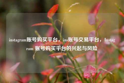 instagram账号购买平台，ins账号交易平台，Instagram 账号购买平台的兴起与风险