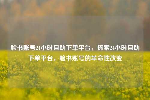 脸书账号24小时自助下单平台，探索24小时自助下单平台，脸书账号的革命性改变