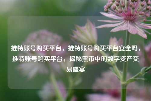 推特账号购买平台，推特账号购买平台安全吗，推特账号购买平台，揭秘黑市中的数字资产交易盛宴