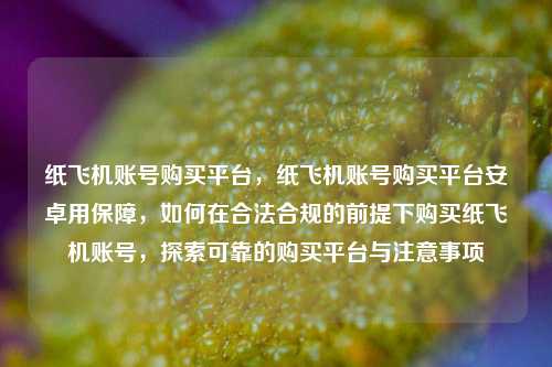 纸飞机账号购买平台，纸飞机账号购买平台安卓用保障，如何在合法合规的前提下购买纸飞机账号，探索可靠的购买平台与注意事项