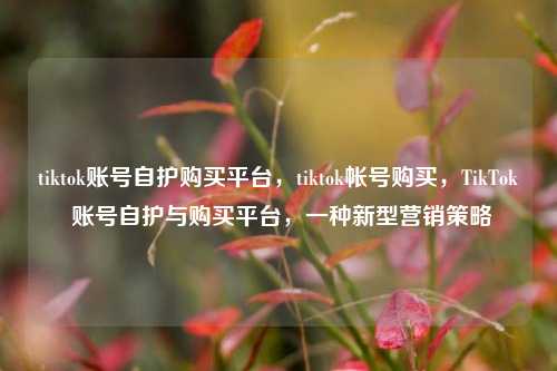 tiktok账号自护购买平台，tiktok帐号购买，TikTok 账号自护与购买平台	，一种新型营销策略  第1张