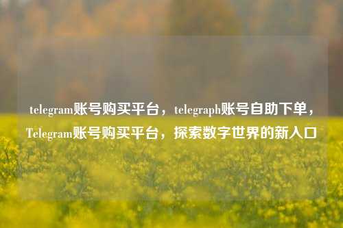 telegram账号购买平台，telegraph账号自助下单，Telegram账号购买平台，探索数字世界的新入口