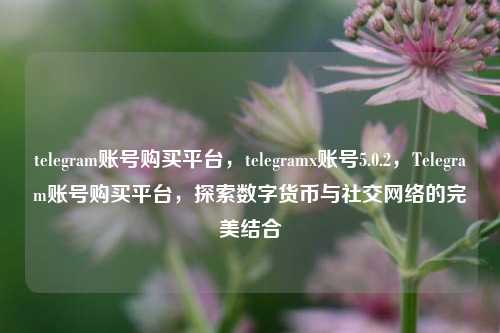 telegram账号购买平台，telegramx账号5.0.2，Telegram账号购买平台，探索数字货币与社交网络的完美结合
