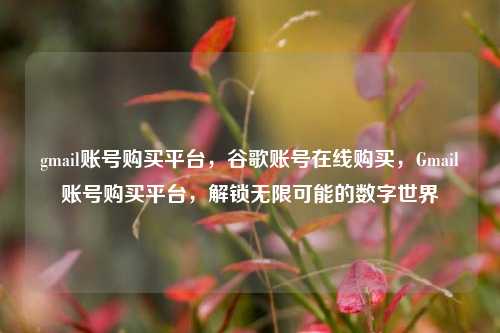 gmail账号购买平台，谷歌账号在线购买，Gmail账号购买平台，解锁无限可能的数字世界