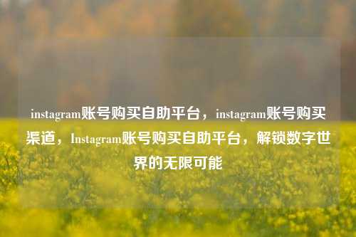 instagram账号购买自助平台，instagram账号购买渠道，Instagram账号购买自助平台，解锁数字世界的无限可能