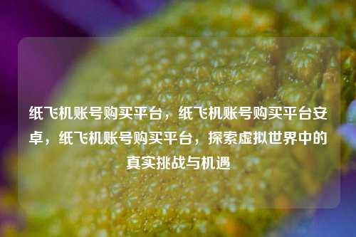 纸飞机账号购买平台，纸飞机账号购买平台安卓，纸飞机账号购买平台，探索虚拟世界中的真实挑战与机遇