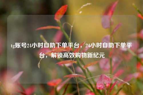 tg账号24小时自助下单平台，24小时自助下单平台，解锁高效购物新纪元