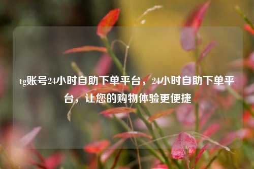 tg账号24小时自助下单平台，24小时自助下单平台，让您的购物体验更便捷