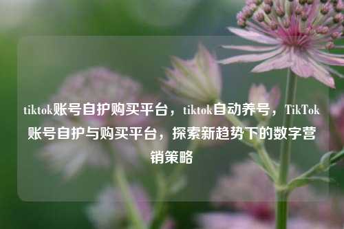 tiktok账号自护购买平台，tiktok自动养号，TikTok账号自护与购买平台，探索新趋势下的数字营销策略