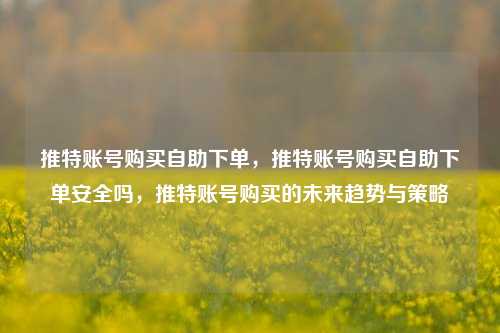 推特账号购买自助下单，推特账号购买自助下单安全吗，推特账号购买的未来趋势与策略