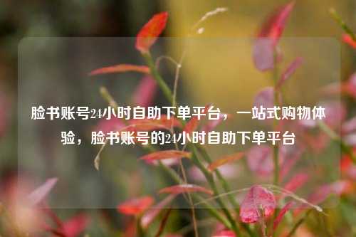 脸书账号24小时自助下单平台	，一站式购物体验，脸书账号的24小时自助下单平台  第1张