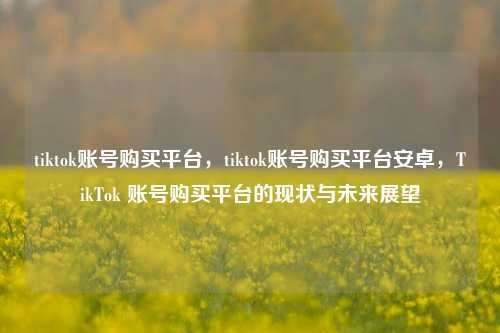 tiktok账号购买平台，tiktok账号购买平台安卓，TikTok 账号购买平台的现状与未来展望