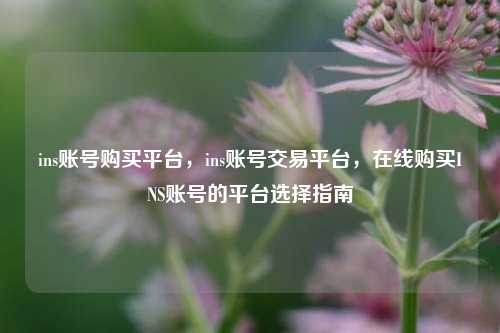 ins账号购买平台，ins账号交易平台，在线购买INS账号的平台选择指南