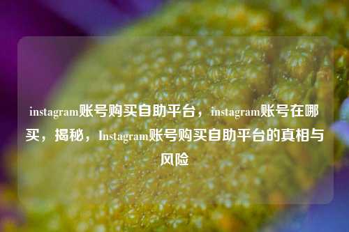 instagram账号购买自助平台，instagram账号在哪买，揭秘，Instagram账号购买自助平台的真相与风险