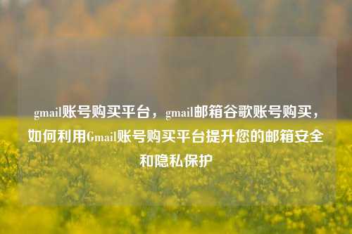 gmail账号购买平台，gmail邮箱谷歌账号购买，如何利用Gmail账号购买平台提升您的邮箱安全和隐私保护