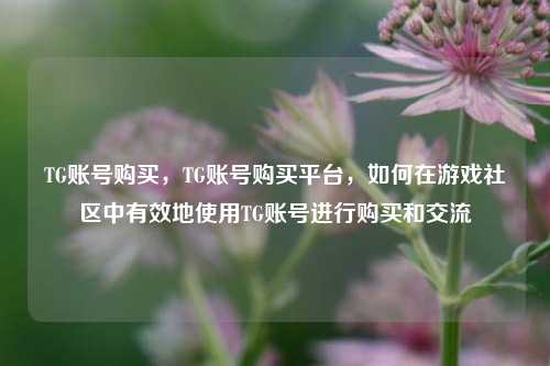 TG账号购买，TG账号购买平台，如何在游戏社区中有效地使用TG账号进行购买和交流  第1张