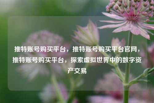 推特账号购买平台，推特账号购买平台官网，推特账号购买平台，探索虚拟世界中的数字资产交易