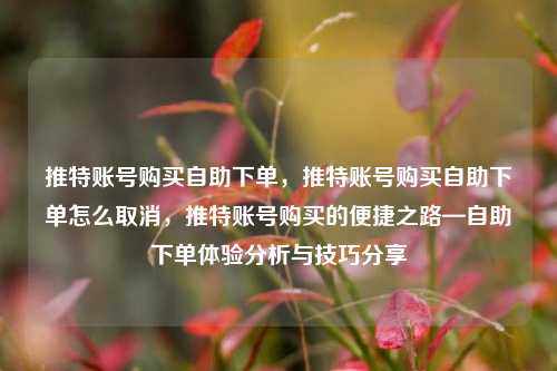 推特账号购买自助下单，推特账号购买自助下单怎么取消，推特账号购买的便捷之路—自助下单体验分析与技巧分享