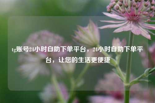 tg账号24小时自助下单平台，24小时自助下单平台，让您的生活更便捷  第1张