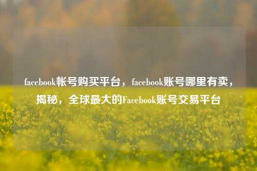 facebook帐号购买平台，facebook账号哪里有卖，揭秘，全球最大的Facebook账号交易平台