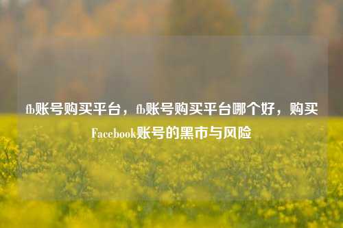 fb账号购买平台，fb账号购买平台哪个好，购买Facebook账号的黑市与风险