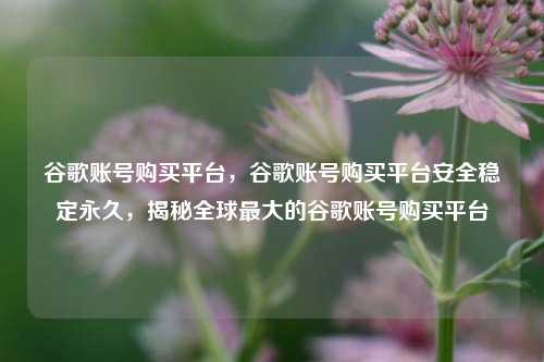 谷歌账号购买平台，谷歌账号购买平台安全稳定永久，揭秘全球最大的谷歌账号购买平台