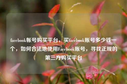 facebook帐号购买平台，买facebook账号多少钱一个，如何合法地使用Facebook账号，寻找正规的第三方购买平台