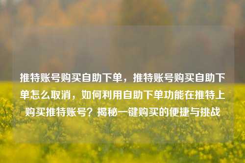 推特账号购买自助下单，推特账号购买自助下单怎么取消，如何利用自助下单功能在推特上购买推特账号？揭秘一键购买的便捷与挑战