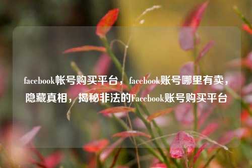 facebook帐号购买平台，facebook账号哪里有卖，隐藏真相，揭秘非法的Facebook账号购买平台