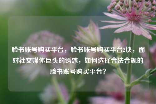 脸书账号购买平台，脸书账号购买平台2块，面对社交媒体巨头的诱惑，如何选择合法合规的脸书账号购买平台？