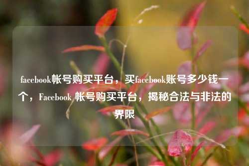 facebook帐号购买平台，买facebook账号多少钱一个，Facebook 帐号购买平台，揭秘合法与非法的界限