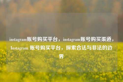 instagram账号购买平台，instagram账号购买渠道	，Instagram 账号购买平台，探索合法与非法的边界  第1张
