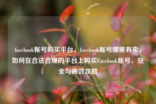 facebook帐号购买平台，facebook账号哪里有卖，如何在合法合规的平台上购买Facebook账号，安全与高效攻略