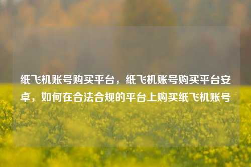 纸飞机账号购买平台，纸飞机账号购买平台安卓，如何在合法合规的平台上购买纸飞机账号