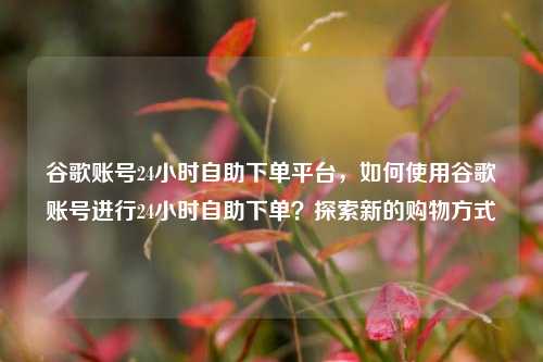谷歌账号24小时自助下单平台，如何使用谷歌账号进行24小时自助下单？探索新的购物方式