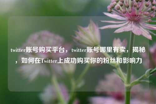 twitter账号购买平台，twitter账号哪里有卖，揭秘，如何在Twitter上成功购买你的粉丝和影响力