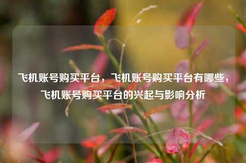 飞机账号购买平台，飞机账号购买平台有哪些，飞机账号购买平台的兴起与影响分析