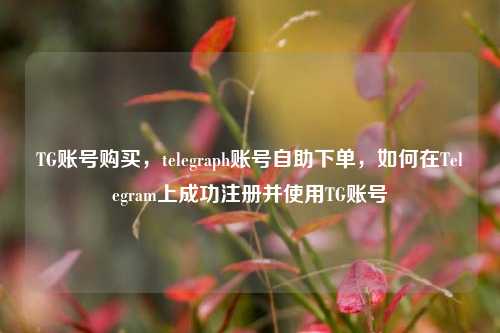 TG账号购买，telegraph账号自助下单，如何在Telegram上成功注册并使用TG账号
