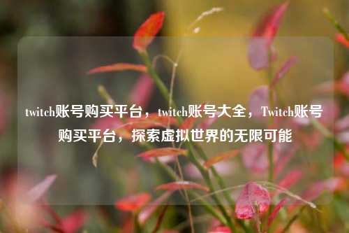 twitch账号购买平台，twitch账号大全，Twitch账号购买平台，探索虚拟世界的无限可能