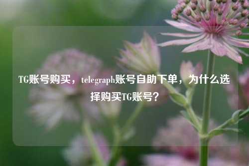 TG账号购买，telegraph账号自助下单，为什么选择购买TG账号？