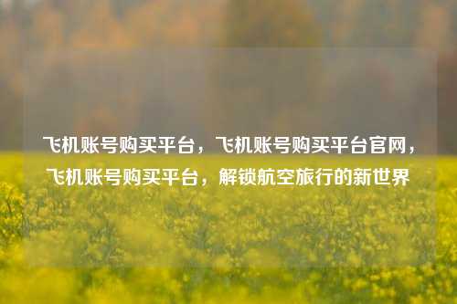 飞机账号购买平台，飞机账号购买平台官网，飞机账号购买平台，解锁航空旅行的新世界
