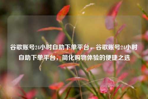 谷歌账号24小时自助下单平台，谷歌账号24小时自助下单平台，简化购物体验的便捷之选